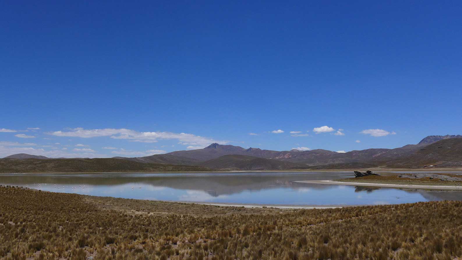 Laguna Chacchure