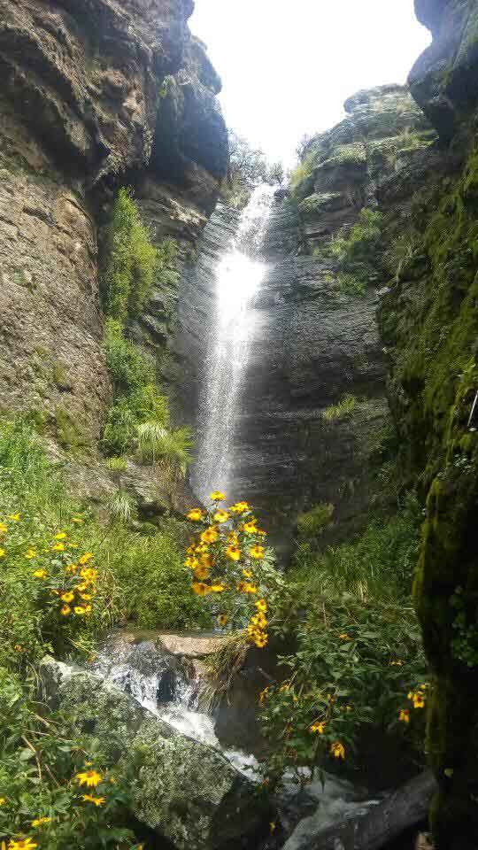 Catarata Loquelaya