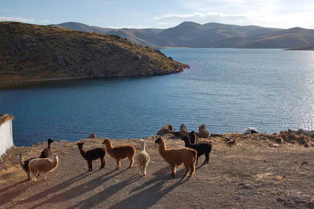 Laguna Saracocha Cabanillas